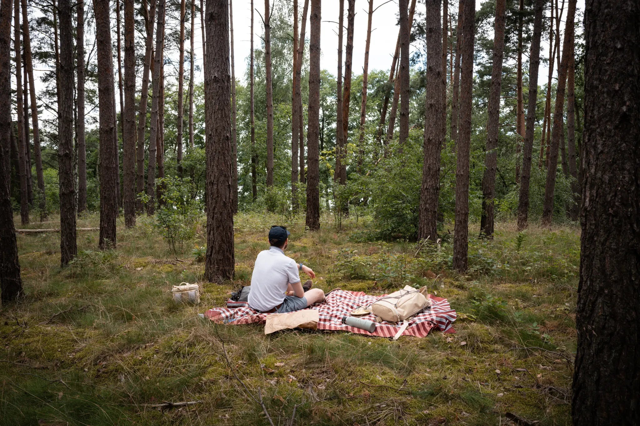 The Ultimate Guide to Picnicking with Wayks: What to Pack for a Perfect Picnic